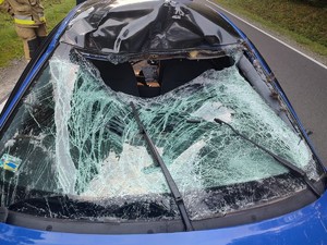Na zdjęciu samochód osobowy w kolorze niebieskim z widocznymi uszkodzeniami części przedniej pojazdu. W tle las.