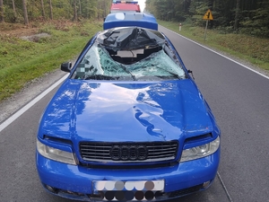 Na zdjęciu pojazd marki audi w kolorze niebieskim z widocznymi uszkodzeniami części przedniej pojazdu. W tle wóz strażacki i las.