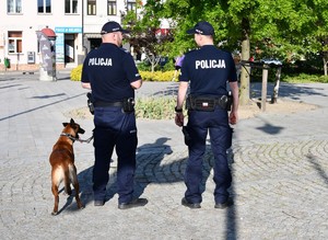 Na zdjęciu umundurowani policjanci razem z psem służbowym, idący na płycie rynku.