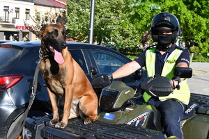 Na zdjęciu umundurowany policjant, w kamizelce odblaskowej siedzący na quadzie oraz pies służbowy.