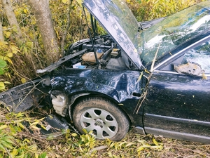 Na zdjęciu pojazd marki VW, który częścią czołowa pojazdu jest wbity w drzewo.  Uszkodzenia pojazdu widoczne na części przedniej oraz po stronie lewej pojazdu.