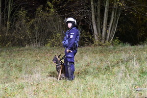 Policjant w zestawie przeciwuderzeniowym, w tle las, pies służbowy obok policjanta.