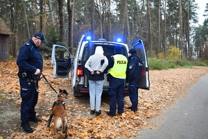 Osoba zatrzymana jest przy trzech policjantach i psie służbowym, wszyscy stoją przy oznakowanym radiowozie, w tle las.