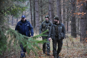 W środku umundurowany policjant i dwóch funkcjonariuszy straży leśnej idą lasem.