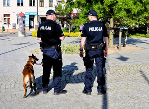 Policjanci w umundurowaniu i pies.